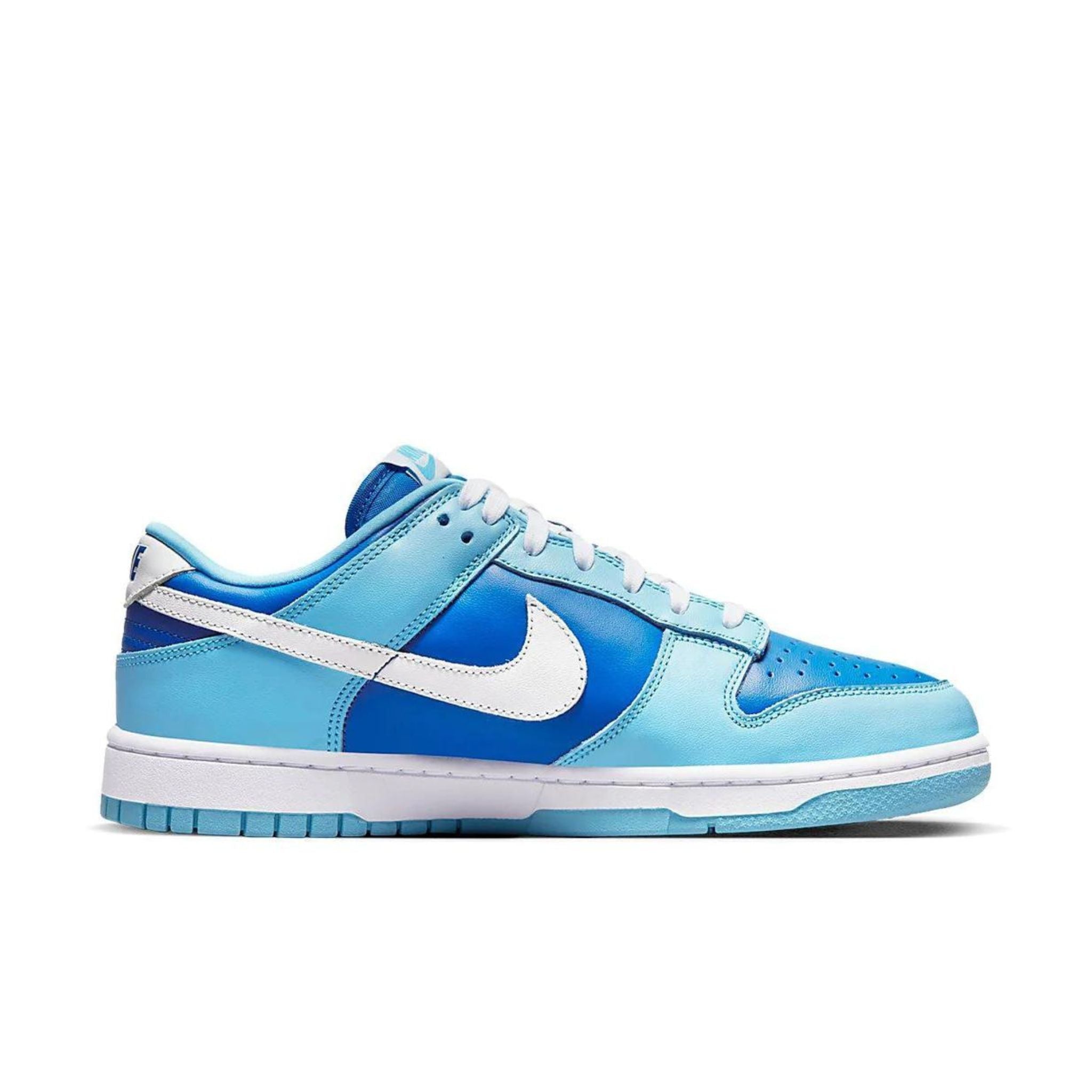 Nike Dunk Low Retro Argon